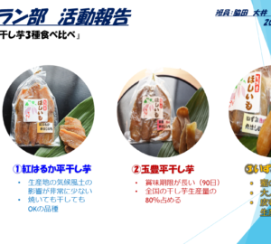 ミシュラン部【干し芋3種食べ比べ】