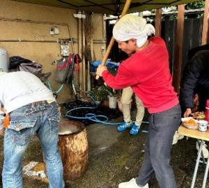 餅つき